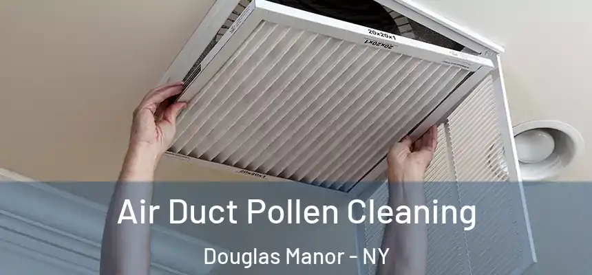  Air Duct Pollen Cleaning Douglas Manor - NY