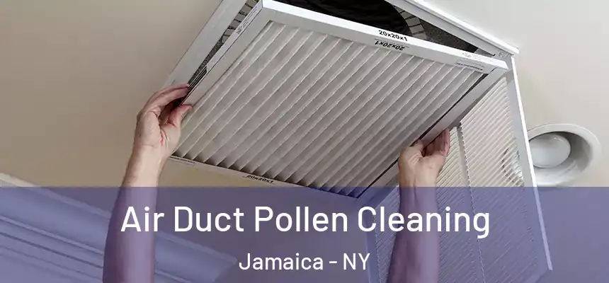  Air Duct Pollen Cleaning Jamaica - NY