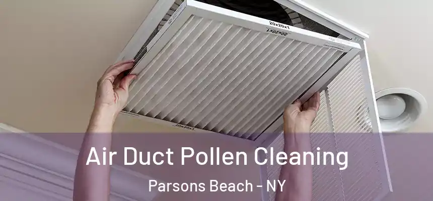 Air Duct Pollen Cleaning Parsons Beach - NY