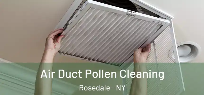  Air Duct Pollen Cleaning Rosedale - NY