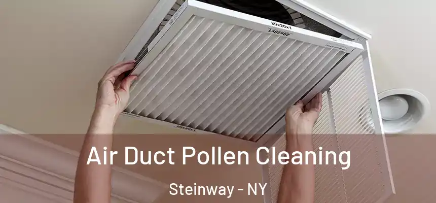  Air Duct Pollen Cleaning Steinway - NY