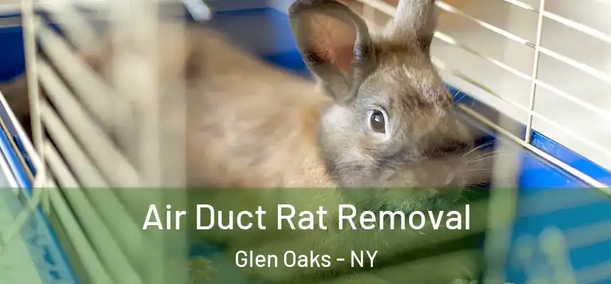  Air Duct Rat Removal Glen Oaks - NY