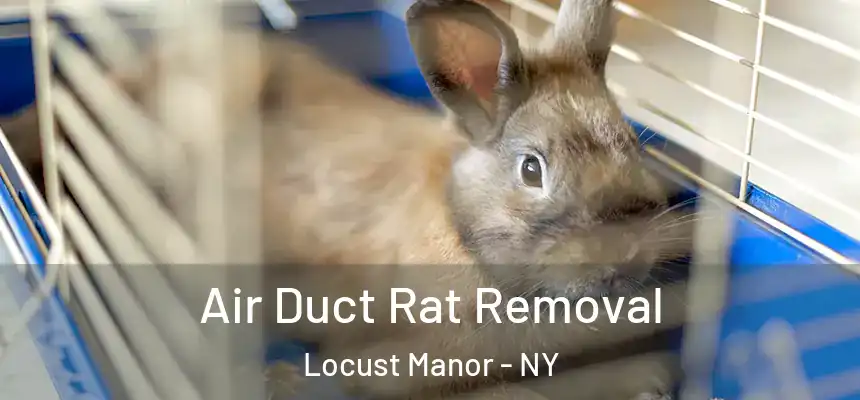  Air Duct Rat Removal Locust Manor - NY