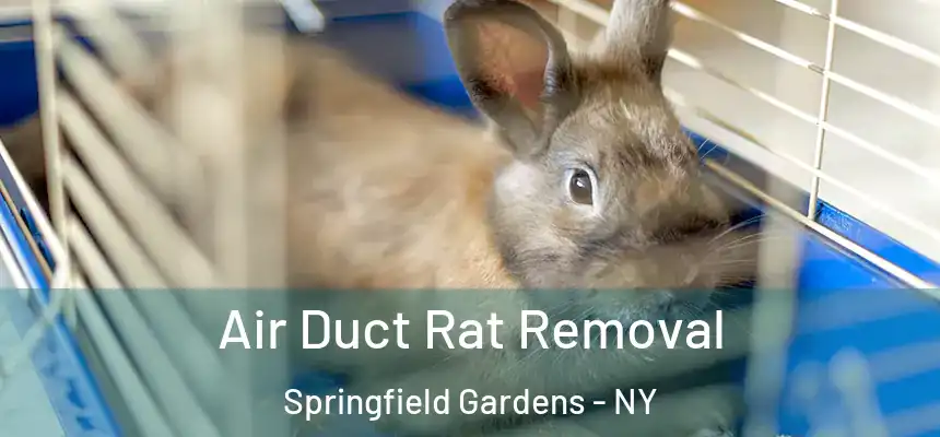 Air Duct Rat Removal Springfield Gardens - NY