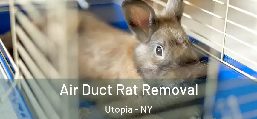 Air Duct Rat Removal Utopia - NY