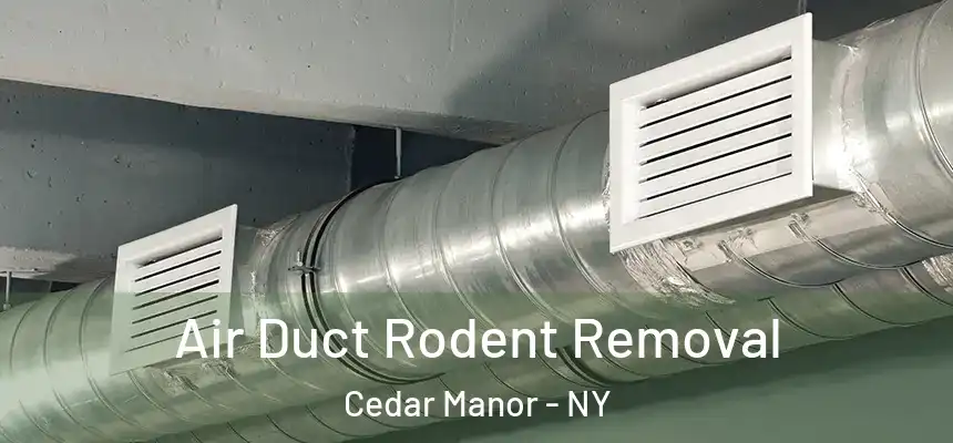 Air Duct Rodent Removal Cedar Manor - NY