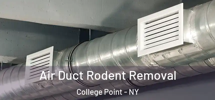  Air Duct Rodent Removal College Point - NY