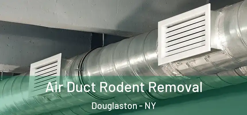 Air Duct Rodent Removal Douglaston - NY