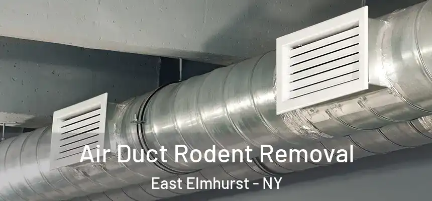  Air Duct Rodent Removal East Elmhurst - NY