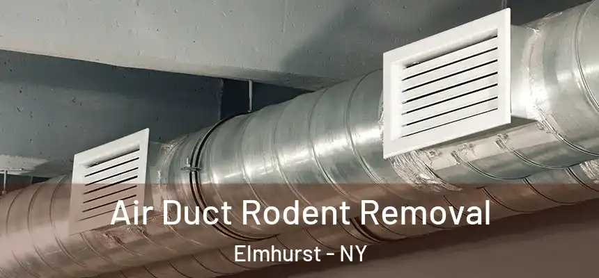 Air Duct Rodent Removal Elmhurst - NY