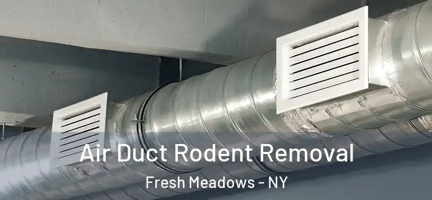Air Duct Rodent Removal Fresh Meadows - NY
