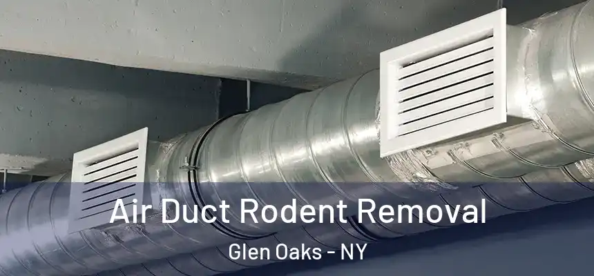  Air Duct Rodent Removal Glen Oaks - NY