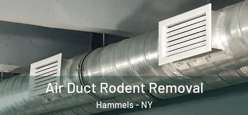  Air Duct Rodent Removal Hammels - NY