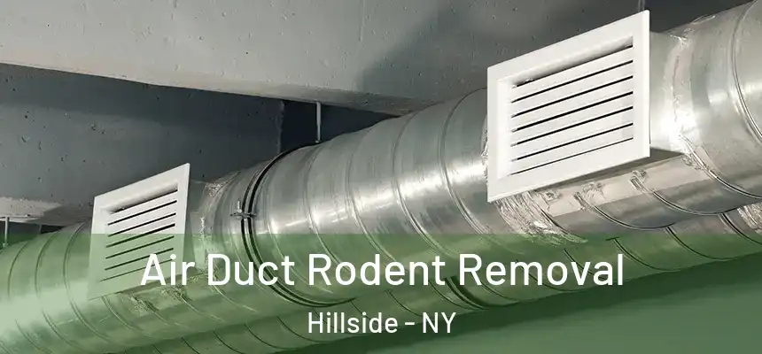  Air Duct Rodent Removal Hillside - NY