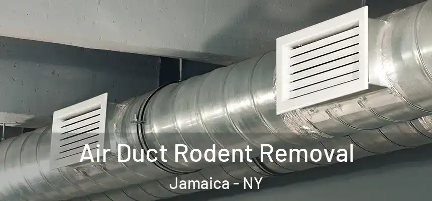  Air Duct Rodent Removal Jamaica - NY