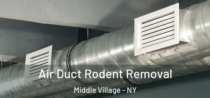  Air Duct Rodent Removal Middle Village - NY