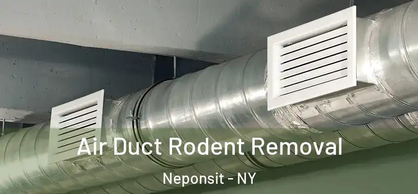 Air Duct Rodent Removal Neponsit - NY