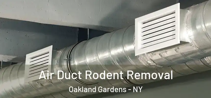 Air Duct Rodent Removal Oakland Gardens - NY