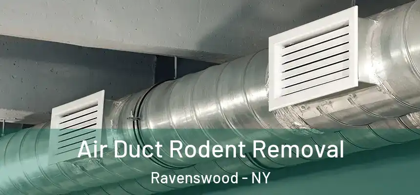  Air Duct Rodent Removal Ravenswood - NY