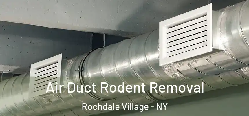  Air Duct Rodent Removal Rochdale Village - NY