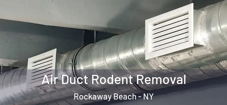  Air Duct Rodent Removal Rockaway Beach - NY
