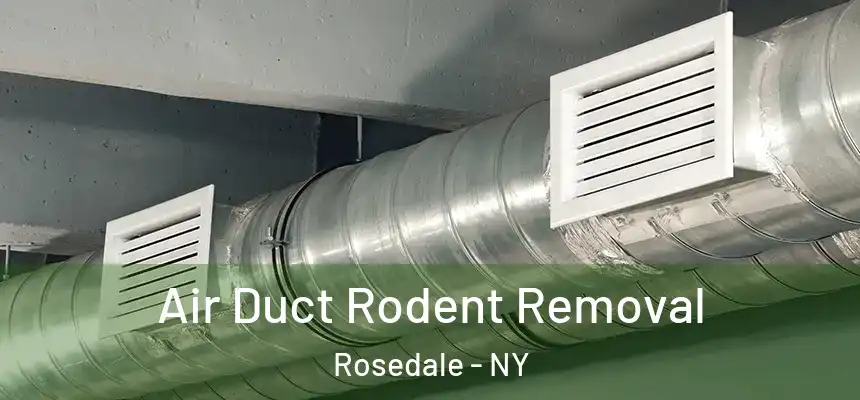  Air Duct Rodent Removal Rosedale - NY