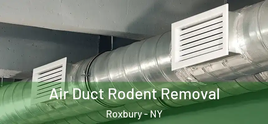 Air Duct Rodent Removal Roxbury - NY
