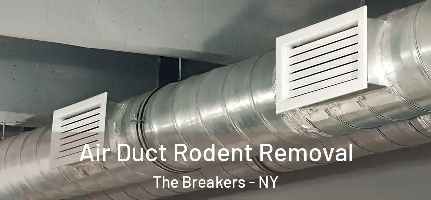Air Duct Rodent Removal The Breakers - NY