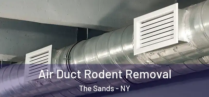  Air Duct Rodent Removal The Sands - NY