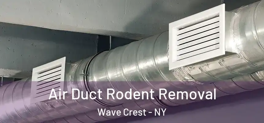Air Duct Rodent Removal Wave Crest - NY