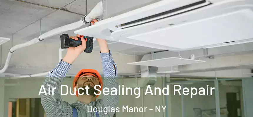  Air Duct Sealing And Repair Douglas Manor - NY