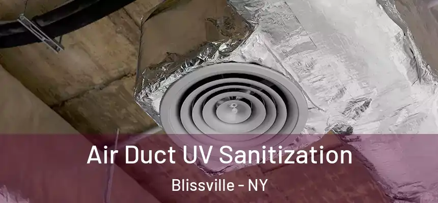  Air Duct UV Sanitization Blissville - NY