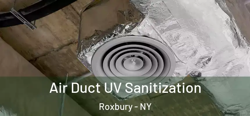  Air Duct UV Sanitization Roxbury - NY