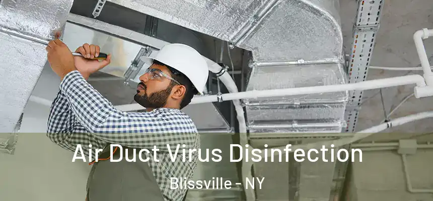  Air Duct Virus Disinfection Blissville - NY