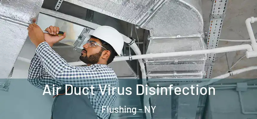 Air Duct Virus Disinfection Flushing - NY