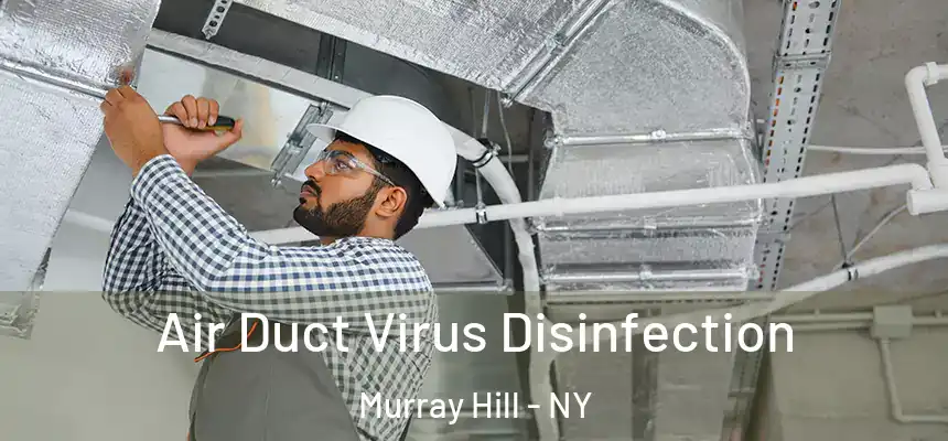  Air Duct Virus Disinfection Murray Hill - NY
