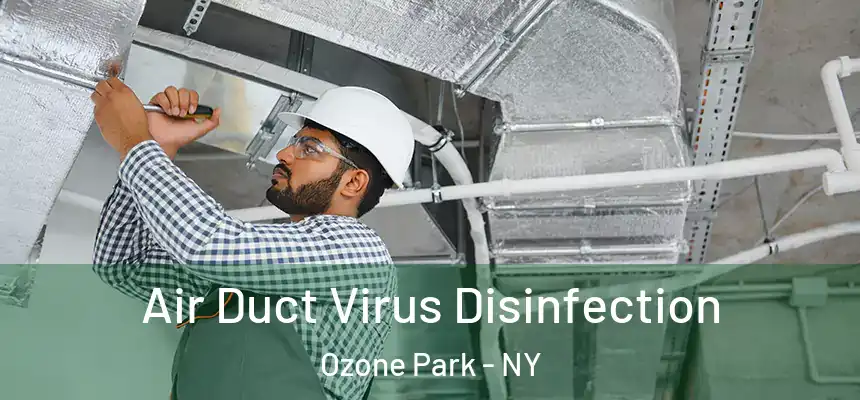  Air Duct Virus Disinfection Ozone Park - NY