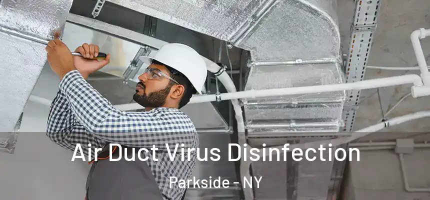  Air Duct Virus Disinfection Parkside - NY