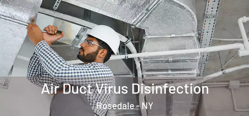  Air Duct Virus Disinfection Rosedale - NY