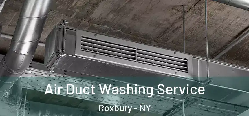  Air Duct Washing Service Roxbury - NY