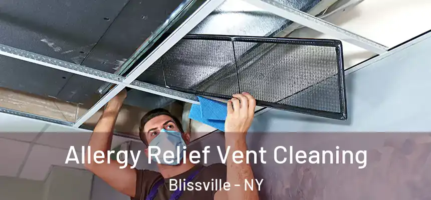  Allergy Relief Vent Cleaning Blissville - NY