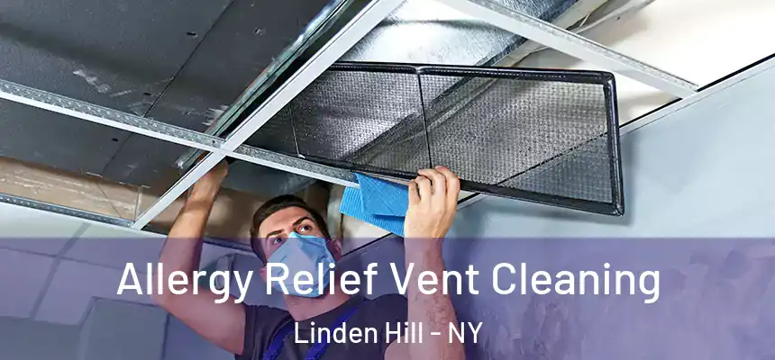 Allergy Relief Vent Cleaning Linden Hill - NY