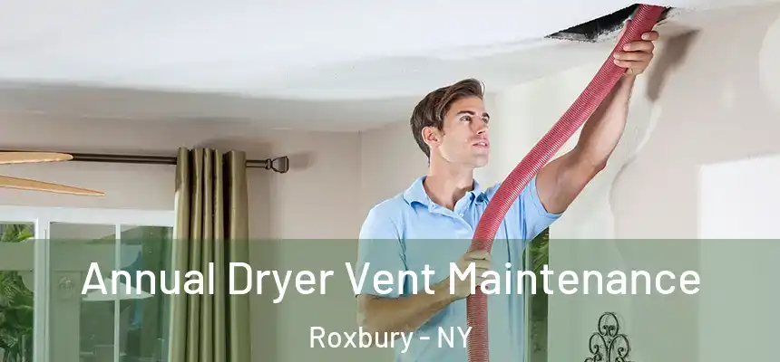  Annual Dryer Vent Maintenance Roxbury - NY
