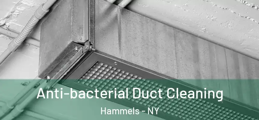  Anti-bacterial Duct Cleaning Hammels - NY