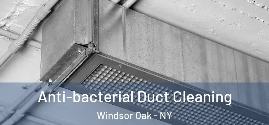 Anti-bacterial Duct Cleaning Windsor Oak - NY