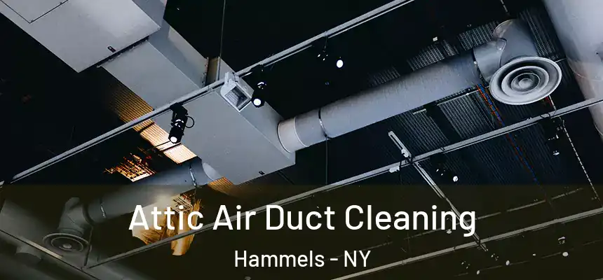  Attic Air Duct Cleaning Hammels - NY