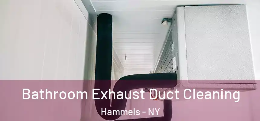  Bathroom Exhaust Duct Cleaning Hammels - NY
