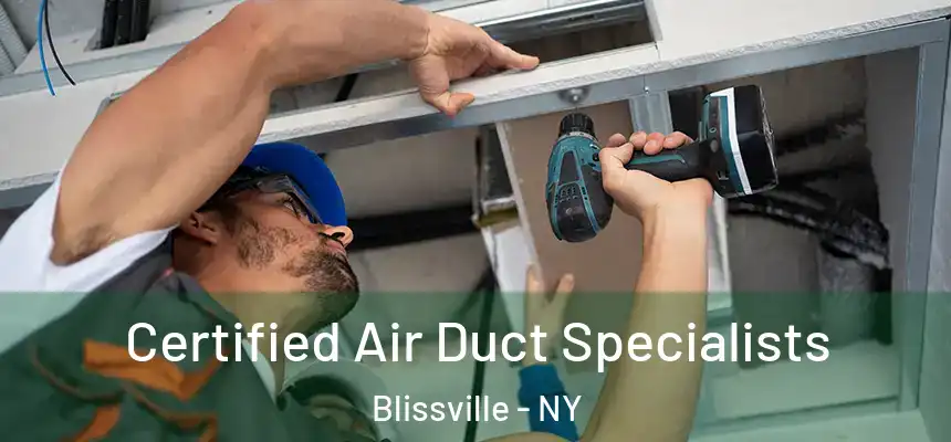 Certified Air Duct Specialists Blissville - NY