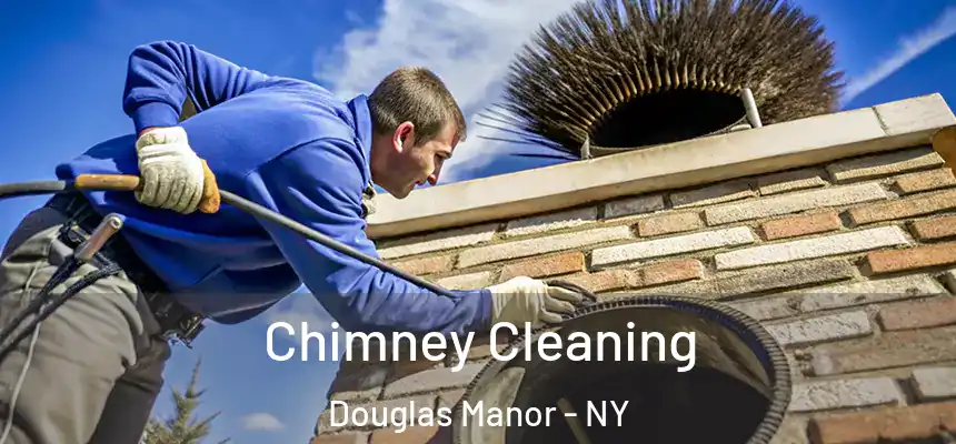  Chimney Cleaning Douglas Manor - NY