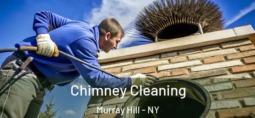  Chimney Cleaning Murray Hill - NY
